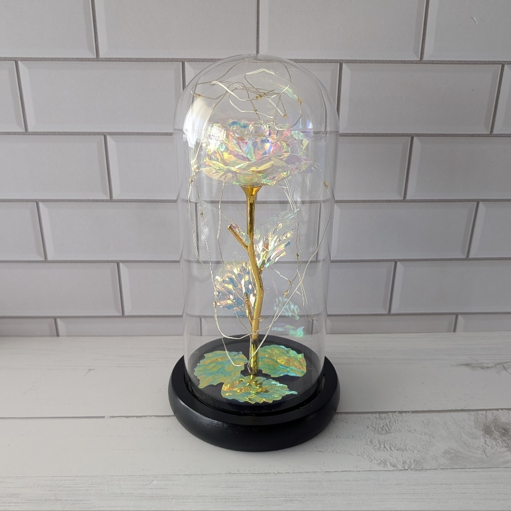 Princess Forever Rose w/ lights in Glass Dome